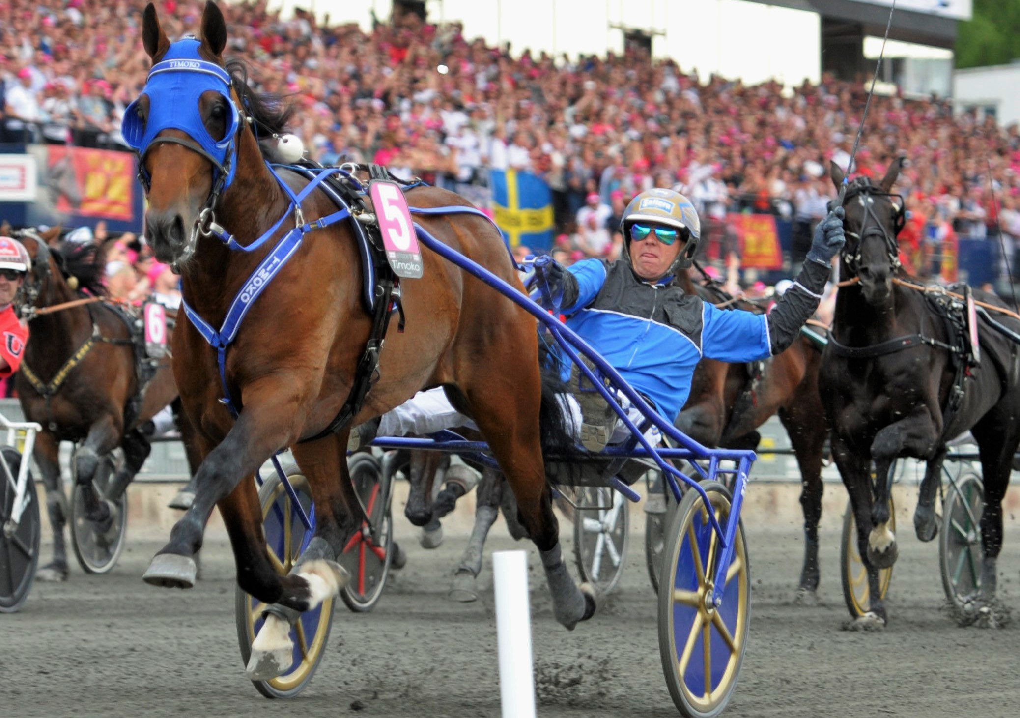 Timoko Elitloppet